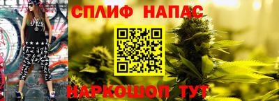 бошки Обнинск