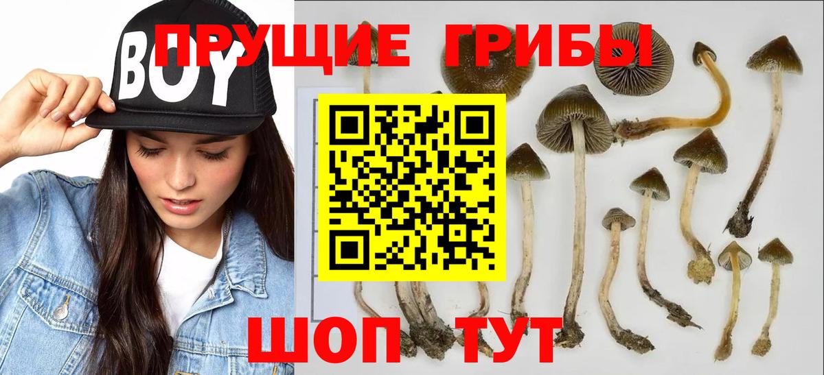Псилоцибиновые грибы MAGIC MUSHROOMS Таганрог